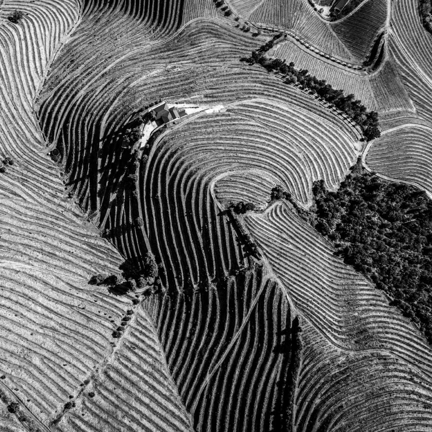 Reserve Red Wine 2018 Douro