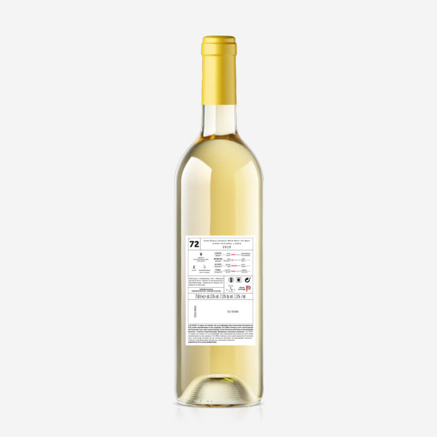 White Wine Harvest 2019 Lisboa