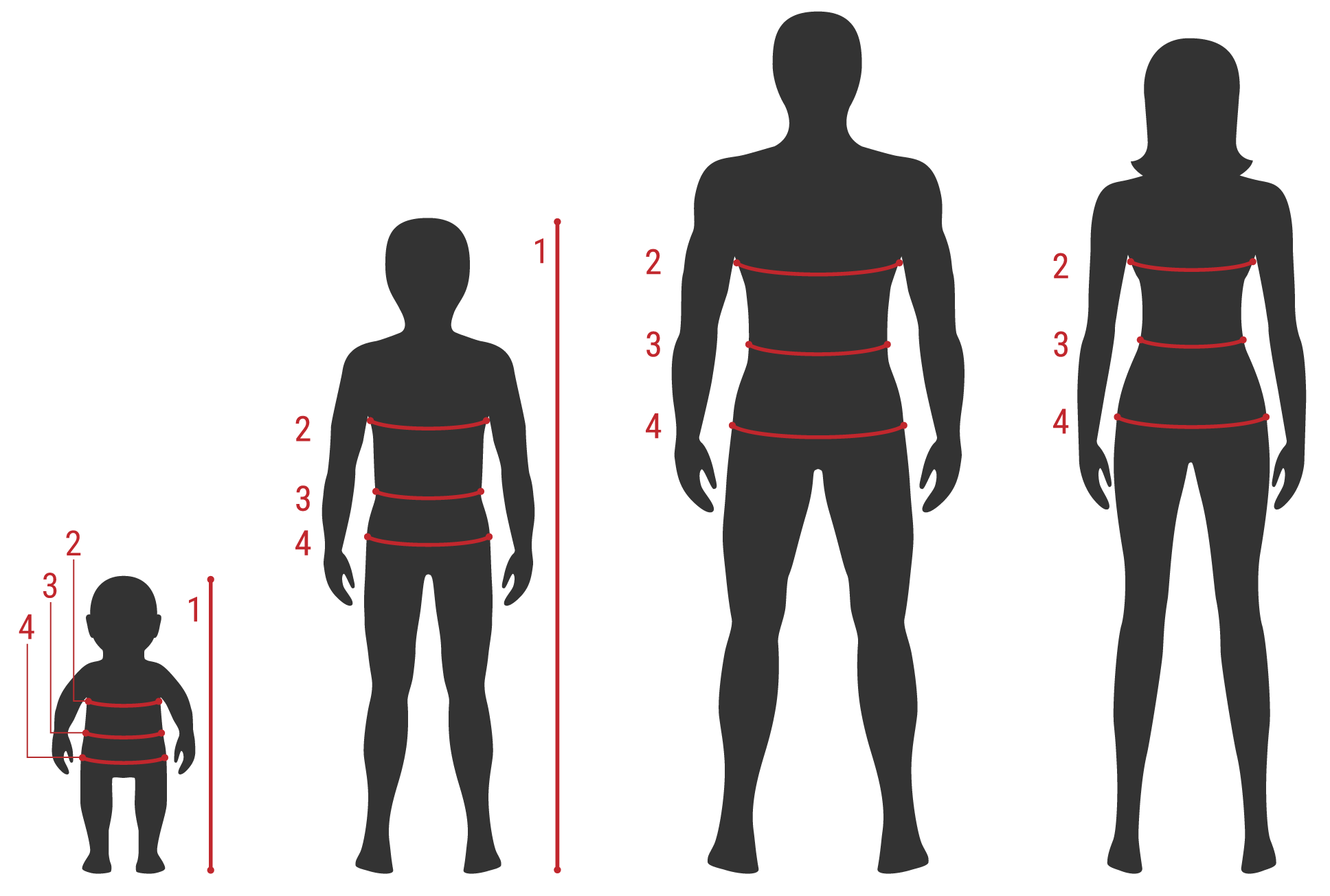 Size Guide: How to Measure Height (1), Chest (2), Waist (3), and Hip (4)?
