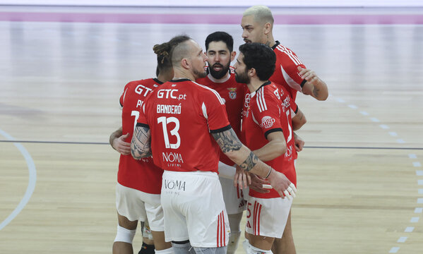 Festejos da equipa do Benfica