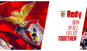 Redy - Win in All Fields (Sustainability Project SLB)