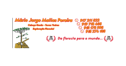 Corporate Members: mario J matias