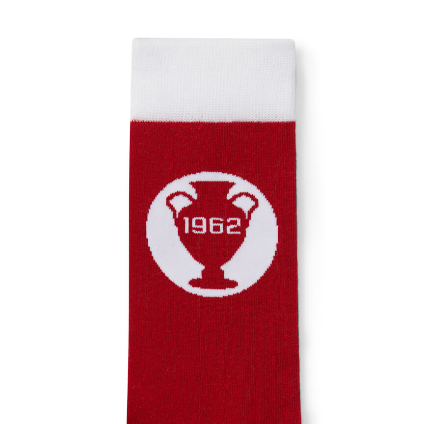 European Champions Cup Socks