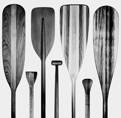 Benfica Wine Cellar - Wines by Sport Discipline: oars